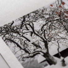 画像をギャラリービューアに読み込む, かんたん和紙プリント