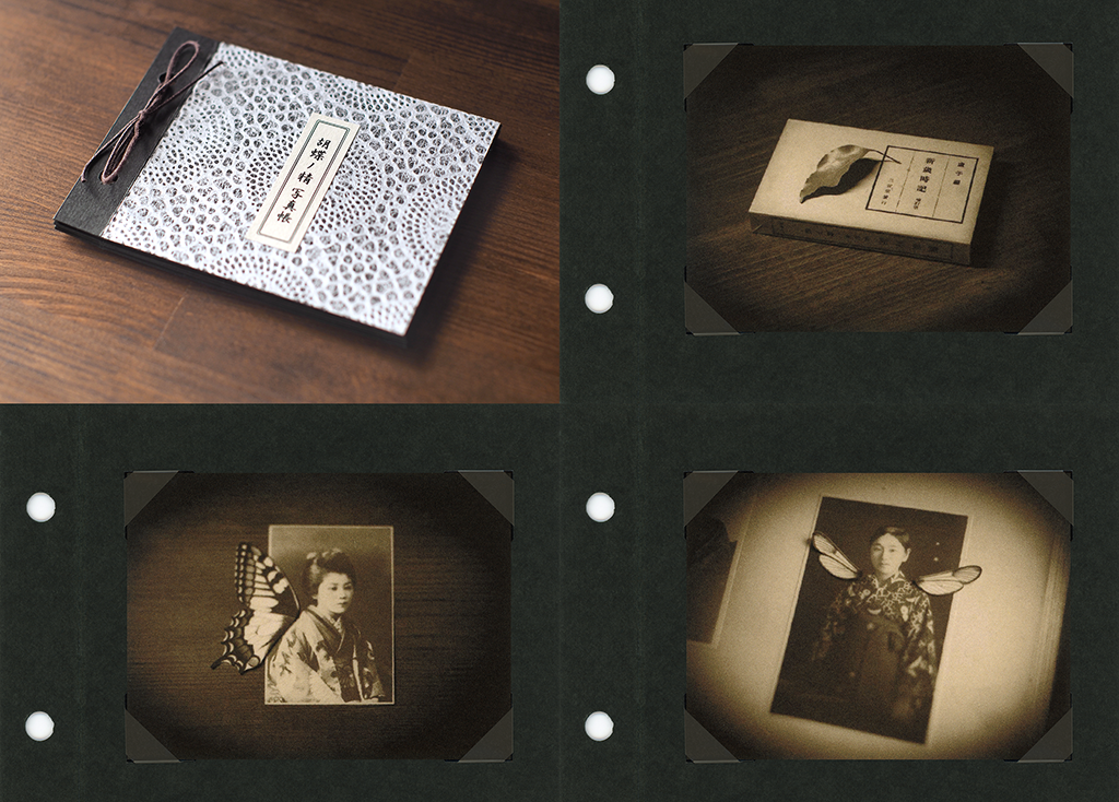 AIJP 楮 (厚口) 白を使ったちいさなアルバム型写真集