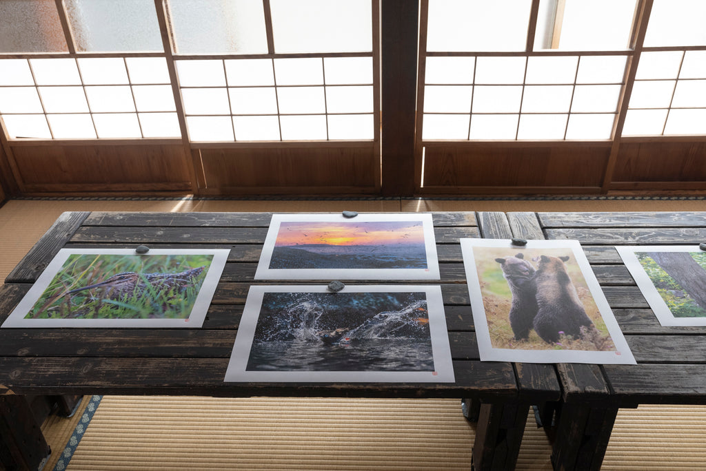 AIJP楮（厚口）白を使った写真作品