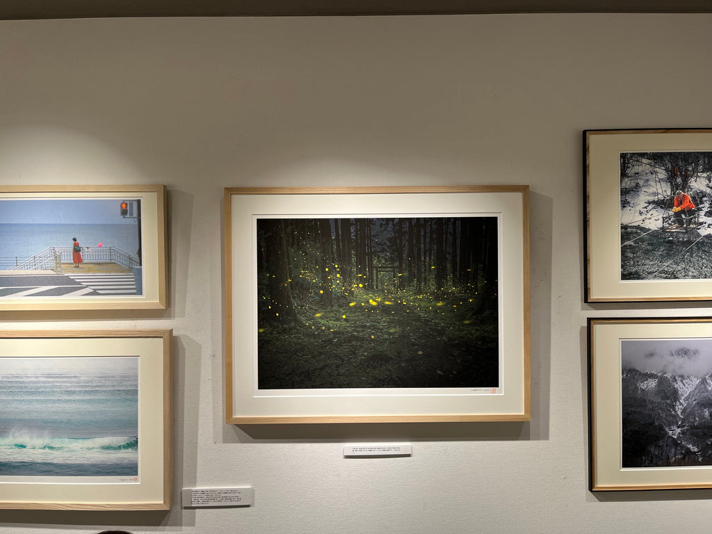 AIJP竹和紙・AIJPいんべを使用した写真展