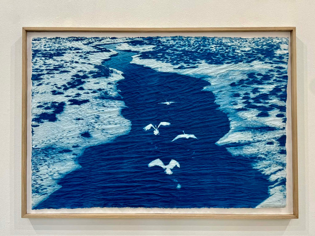 いろいろな和紙を使ったサイアノタイプの作品展