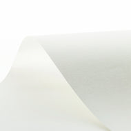 白樺 100g/m2